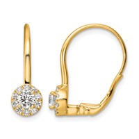 14K Yellow Gold 0.75 Carat Lab Grown Diamond VS SI+ G+ Complete Drop Leverback Earrings view 1