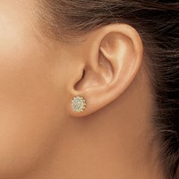 14K Yellow Gold 0.50 Carat Lab Grown Diamond VS SI+ G+ Complete Cluster Post Earrings view 3