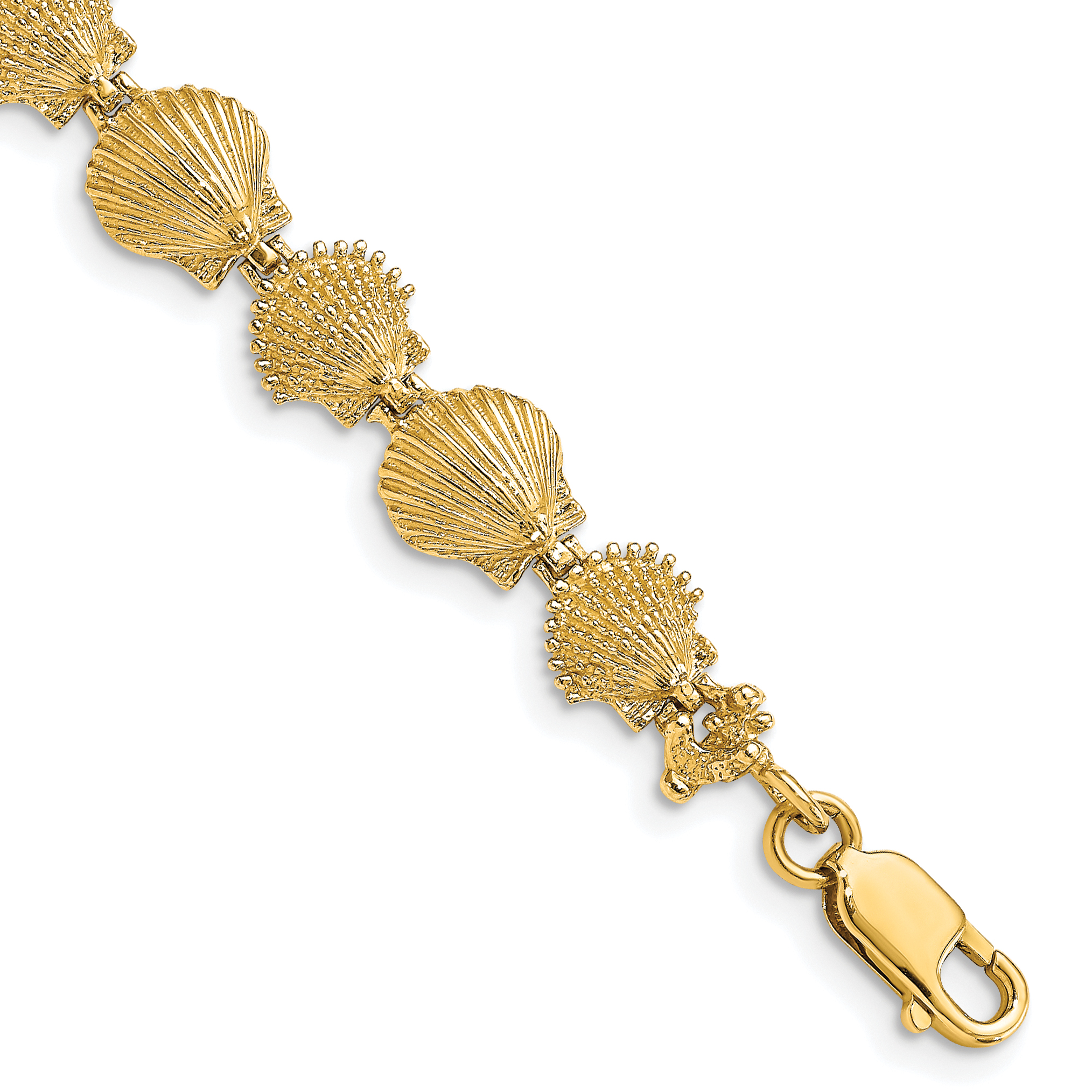 14K Polished and Textured Scallop Shell 7 inch Bracelet (FB1699-7)