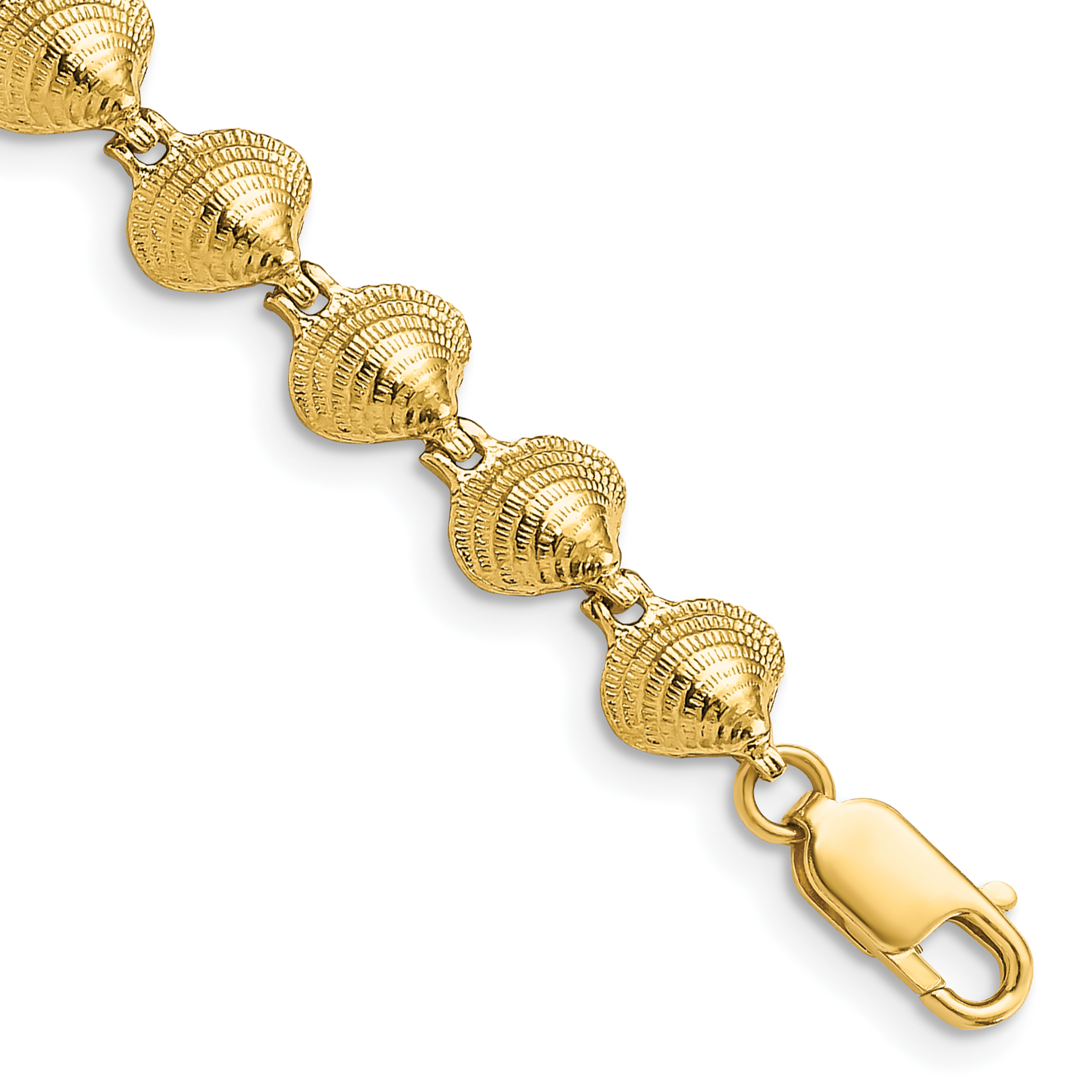 14k Polished Clam Shell 7 inch Bracelet (FB1720-7)