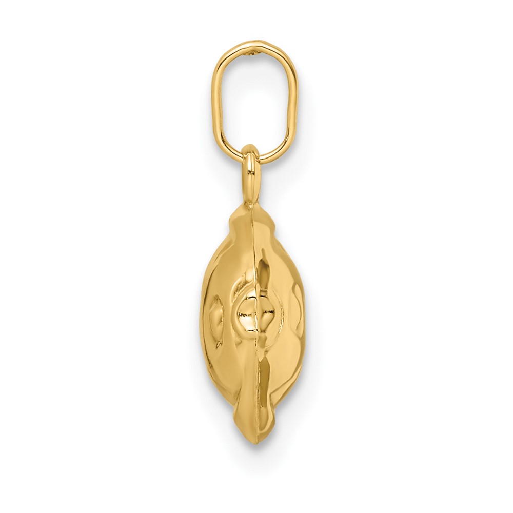 14k Madi K Polished 3-D Fish Pendant (GK1089)