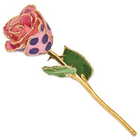 Lacquer Dipped Gold Trimmed Pink and Purple Dots Real Rose view 2