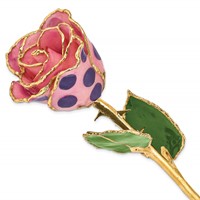 Lacquer Dipped Gold Trimmed Pink and Purple Dots Real Rose view 1