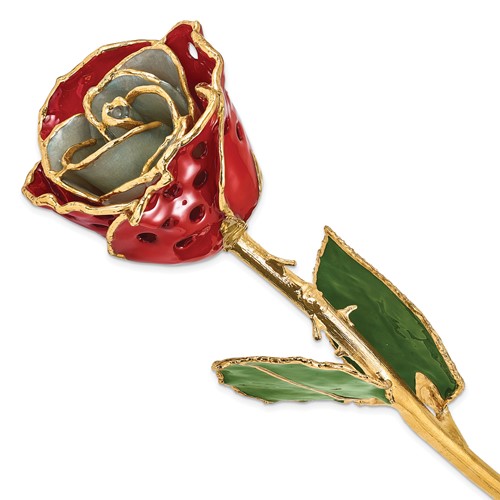 Lacquer Dipped Gold Trimmed White Red with Holes Real Rose
