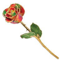Lacquer Dipped Gold Trimmed Aurora Neon Rainbow Real Rose view 2