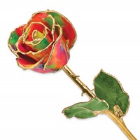 Lacquer Dipped Gold Trimmed Aurora Neon Rainbow Real Rose view 1