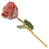 Lacquer Dipped Gold Trimmed Pink and Black Leopard Real Rose view 2
