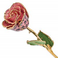 Lacquer Dipped Gold Trimmed Pink and Black Leopard Real Rose view 1