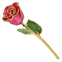 Lacquer Dipped Gold Trimmed Plum Fuchsia Real Rose view 2