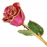 Lacquer Dipped Gold Trimmed Plum Fuchsia Real Rose view 1