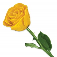 Yellow Lacquer Dipped Natural Rose with Green Leaves and Stem view 1