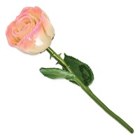White Pink Lacquer Dipped Natural Rose with Green Leaves and Stem view 2