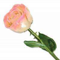 White Pink Lacquer Dipped Natural Rose with Green Leaves and Stem view 1