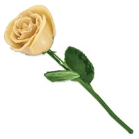 Cream Lacquer Dipped Natural Rose with Green Leaves and Stem view 2