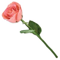 Pink Lacquer Dipped Natural Rose with Green Leaves and Stem view 2