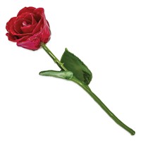 Red Lacquer Dipped Natural Rose with Green Leaves and Stem view 2