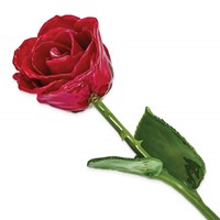 Red Lacquer Dipped Natural Rose with Green Leaves and Stem view 1