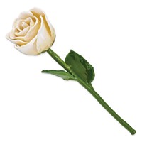 Cream White Lacquer Dipped Natural Rose with Green Leaves and Stem view 2