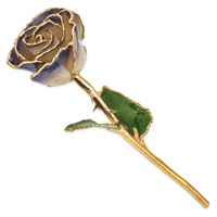 Lacquer Dipped 24K Gold Trimmed White Twilight Pearl Real Rose view 2