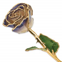 Lacquer Dipped 24K Gold Trimmed White Twilight Pearl Real Rose view 1