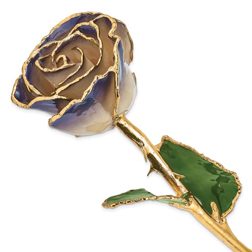Lacquer Dipped 24K Gold Trimmed White Twilight Pearl Real Rose