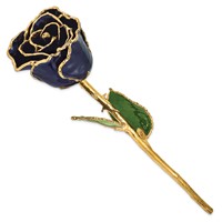 Lacquer Dipped 24K Gold Trimmed Twilight Pearl Real Rose view 2