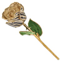 Lacquer Dipped 24K Gold Trimmed Cream Black Zebra Real Rose view 2