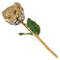 Lacquer Dipped 24K Gold Trimmed Cream Black Leopard Real Rose view 2