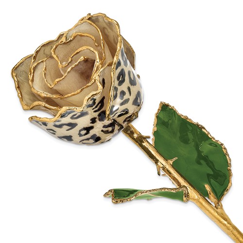 Lacquer Dipped 24K Gold Trimmed Cream Black Leopard Real Rose