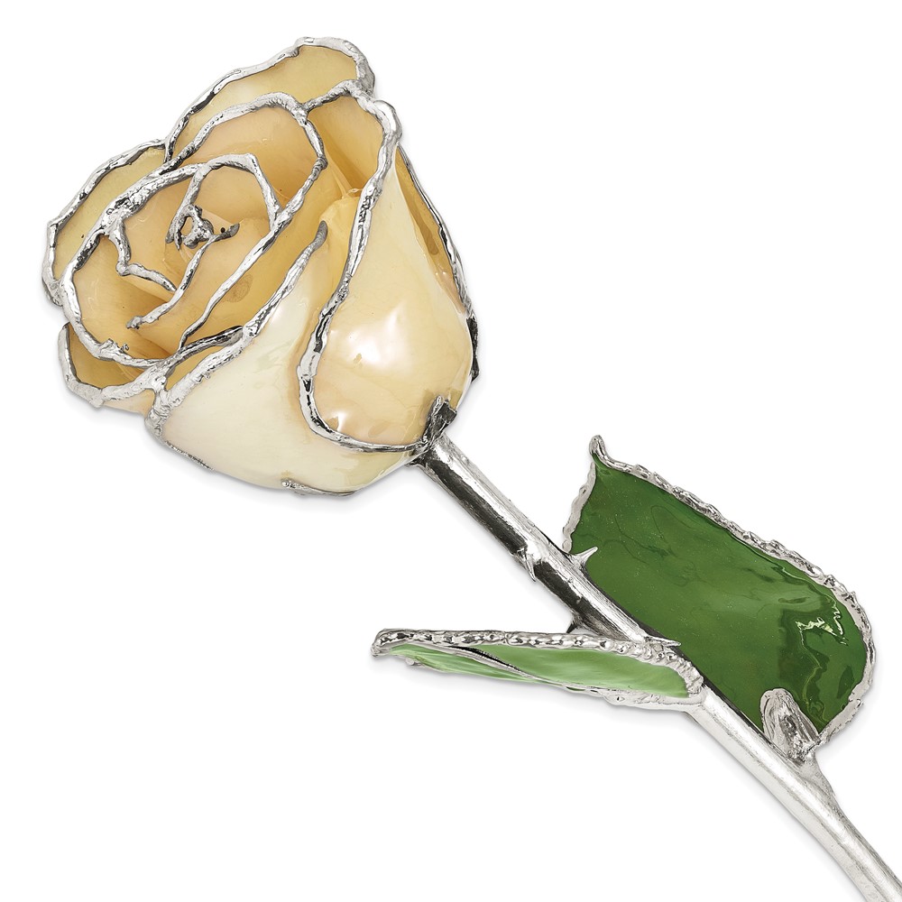 Lacquer Dipped Silver Trim Silver Moonstone Rose Lacquer Dipped Silver Trim Silver Moonstone Rose