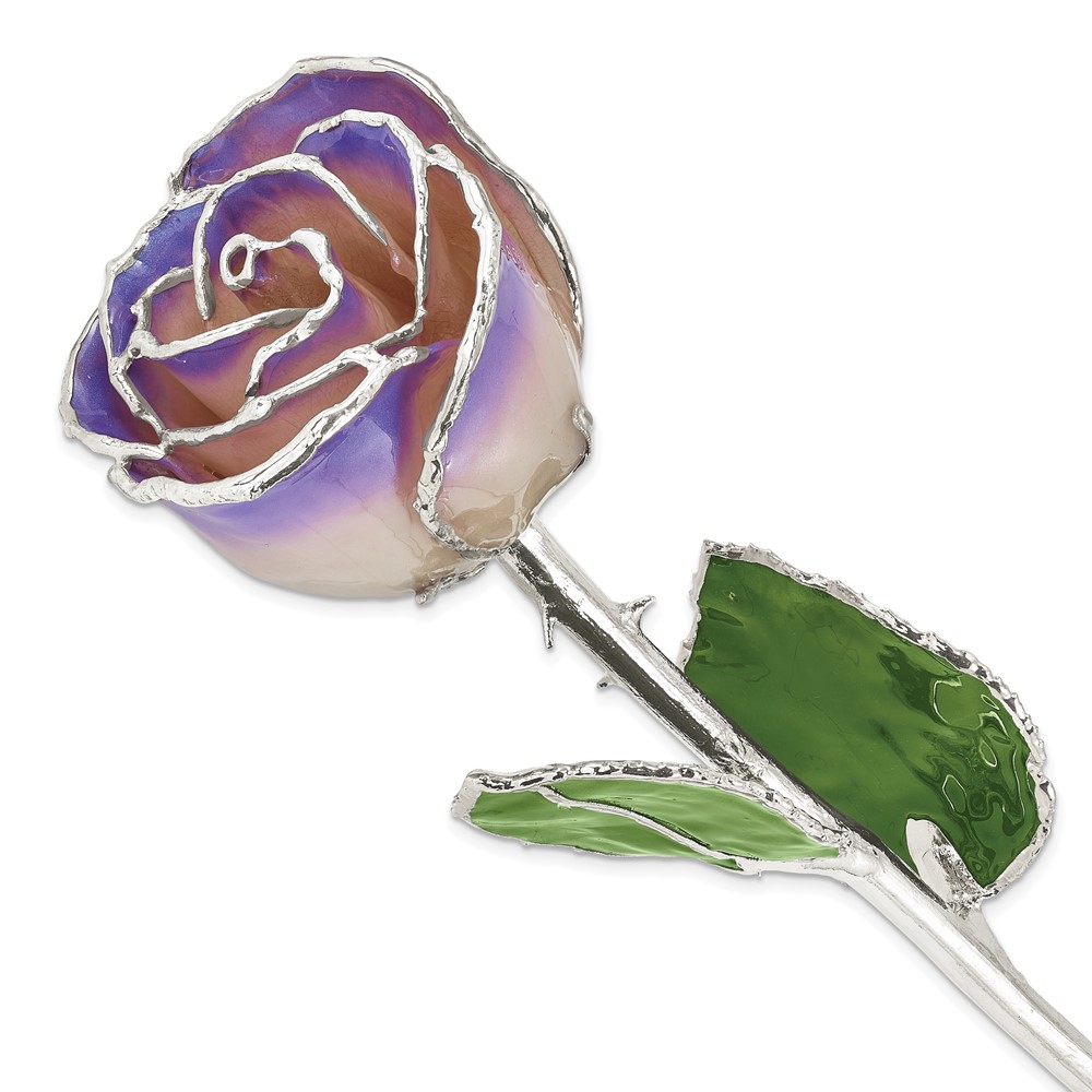 Lacquer Dipped Silver Trim Silver Moonstone Rose Lacquer Dipped Silver Trim Silver Moonstone Rose