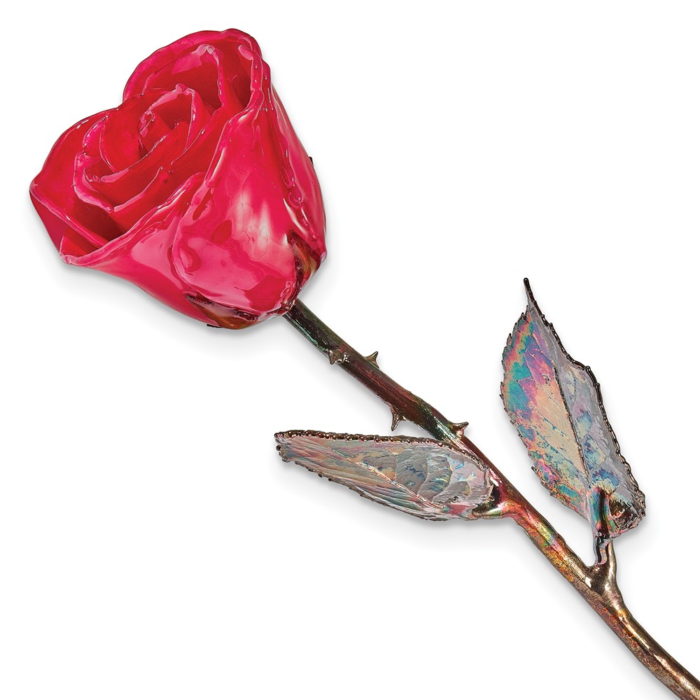 Lacquer Dipped Silver Trimmed White & Pink Natural Rose Lacquer Dipped Silver Trimmed White & Pink Natural Rose