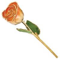 Lacquer Dipped Gold Trimmed White and Orange Real Rose view 2