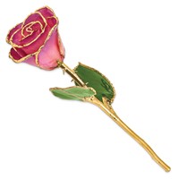 Lacquer Dipped Gold Trimmed Pink Picasso Real Rose view 2