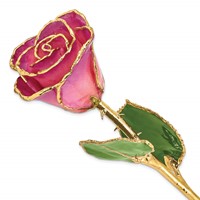 Lacquer Dipped Gold Trimmed Pink Picasso Real Rose view 1