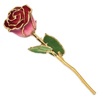 Lacquer Dipped Gold Trimmed Pink and Burgundy Real Rose view 2