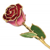 Lacquer Dipped Gold Trimmed Pink and Burgundy Real Rose view 1
