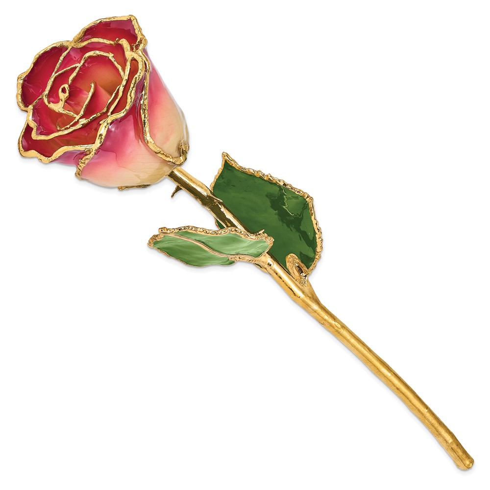 Lacquer Dipped Silver Trimmed White & Pink Natural Rose Lacquer Dipped Silver Trimmed White & Pink Natural Rose