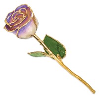 Lacquer Dipped Gold Trimmed White and Blue Opal Real Rose view 2