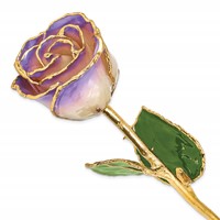 Lacquer Dipped Gold Trimmed White and Blue Opal Real Rose view 1