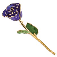 Lacquer Dipped Gold Trimmed Blue Violet Pearl Real Rose view 2