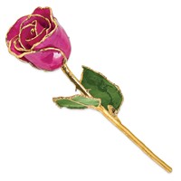Lacquer Dipped Gold Trimmed Fuchsia Real Rose view 2