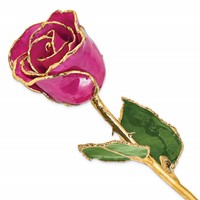 Lacquer Dipped Gold Trimmed Fuchsia Real Rose view 1