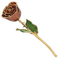 Lacquer Dipped Gold Trimmed Cinnamon Pearl Real Rose view 2