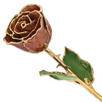 Lacquer Dipped Gold Trimmed Cinnamon Pearl Real Rose view 1