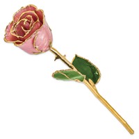 Lacquer Dipped Gold Trimmed Dusty Pink Real Rose view 2