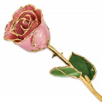 Lacquer Dipped Gold Trimmed Dusty Pink Real Rose view 1