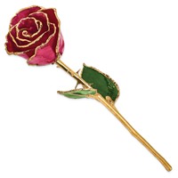 Lacquer Dipped Gold Trimmed Ruby Sun Real Rose view 2
