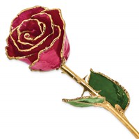 Lacquer Dipped Gold Trimmed Ruby Sun Real Rose view 1