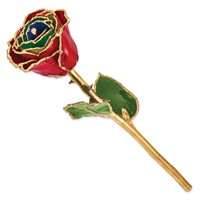 Lacquer Dipped Gold Trimmed Gypsy Rainbow Real Rose view 2